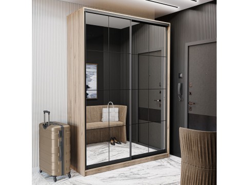 Шкаф-купе Loft Дуб сонома светлый