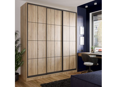 Шкаф-купе Loft Дуб аппалачи