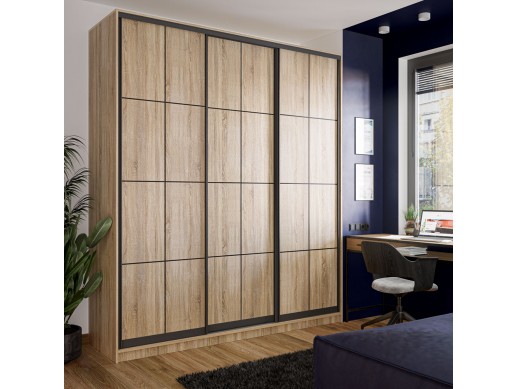 Шкаф-купе Loft Дуб аппалачи