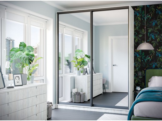 Шафа-купе Стандарт Дзеркало