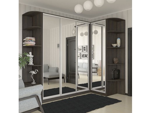 Шкаф-купе Стандарт Венге