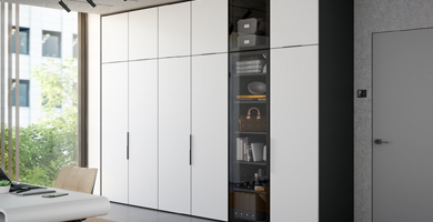 Шкаф Модус Вип-Мастер