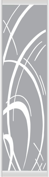 Дверное наполнение зеркало (художественное матирование) 102