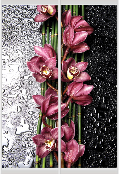 Дверное наполнение Фотопечать F147L/F147R