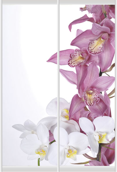 Дверное наполнение Фотопечать F276L/F276R