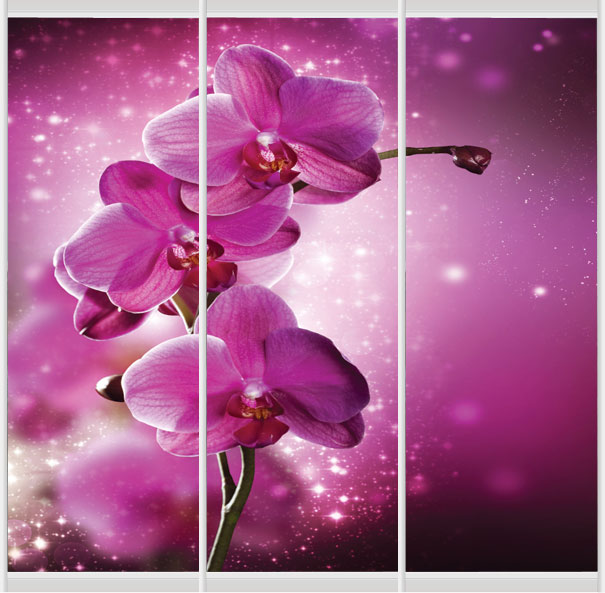 Дверное наполнение Фотопечать F194L/F194SL/F194SR