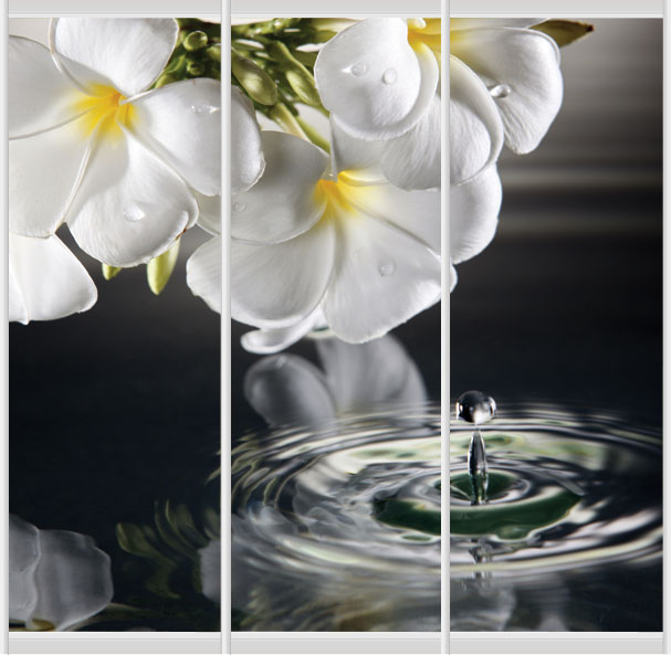 Дверное наполнение Фотопечать F237L/F237S/F237R