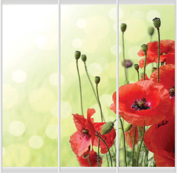 Дверное наполнение Фотопечать F256L/F256S/F256R