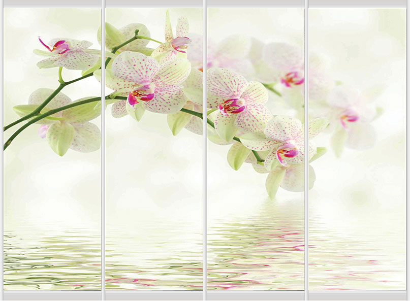 Дверное наполнение Фотопечать F340L/F340SL/F340SR/F340R