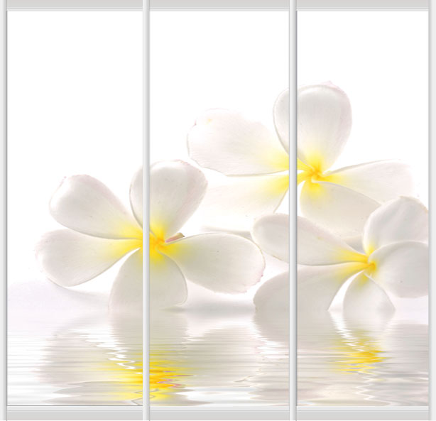 Дверное наполнение Фотопечать F708L/F708S/F708R