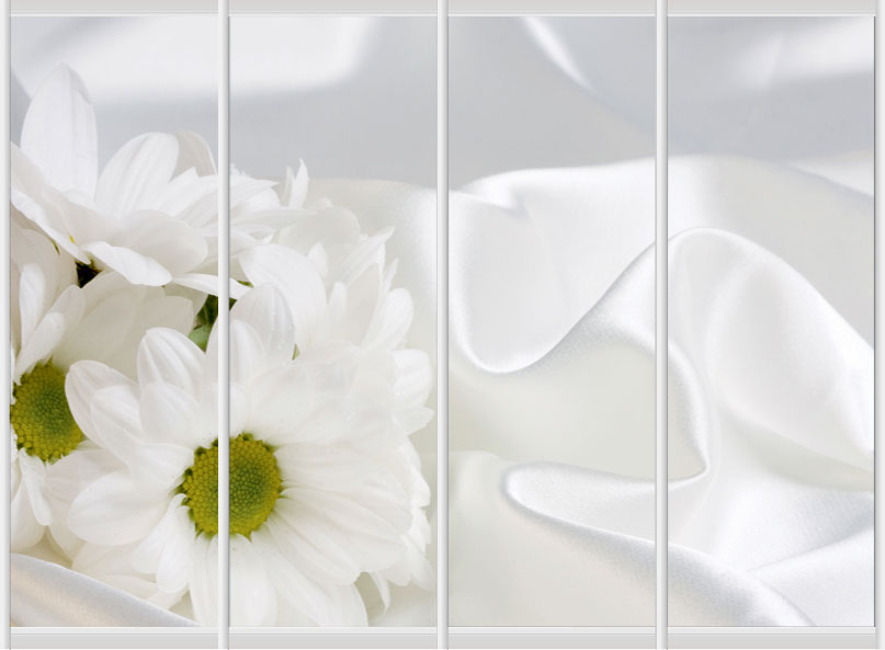 Дверное наполнение Фотопечать F805L/F805SL/F805SR/F805R