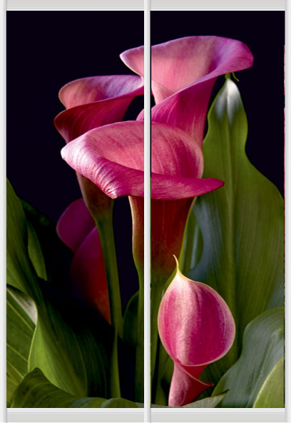 Дверное наполнение Фотопечать F924L/F924R