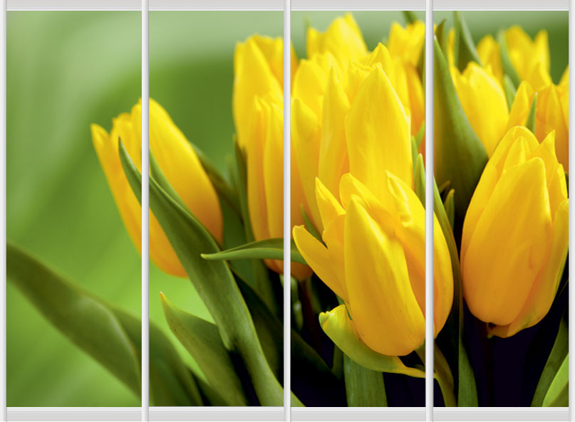 Дверное наполнение Фотопечать F965L/F965SL/F965SR/F965R