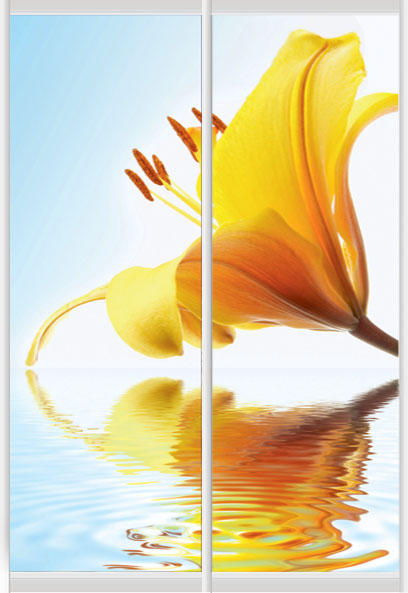 Дверное наполнение Фотопечать F986L/F986R