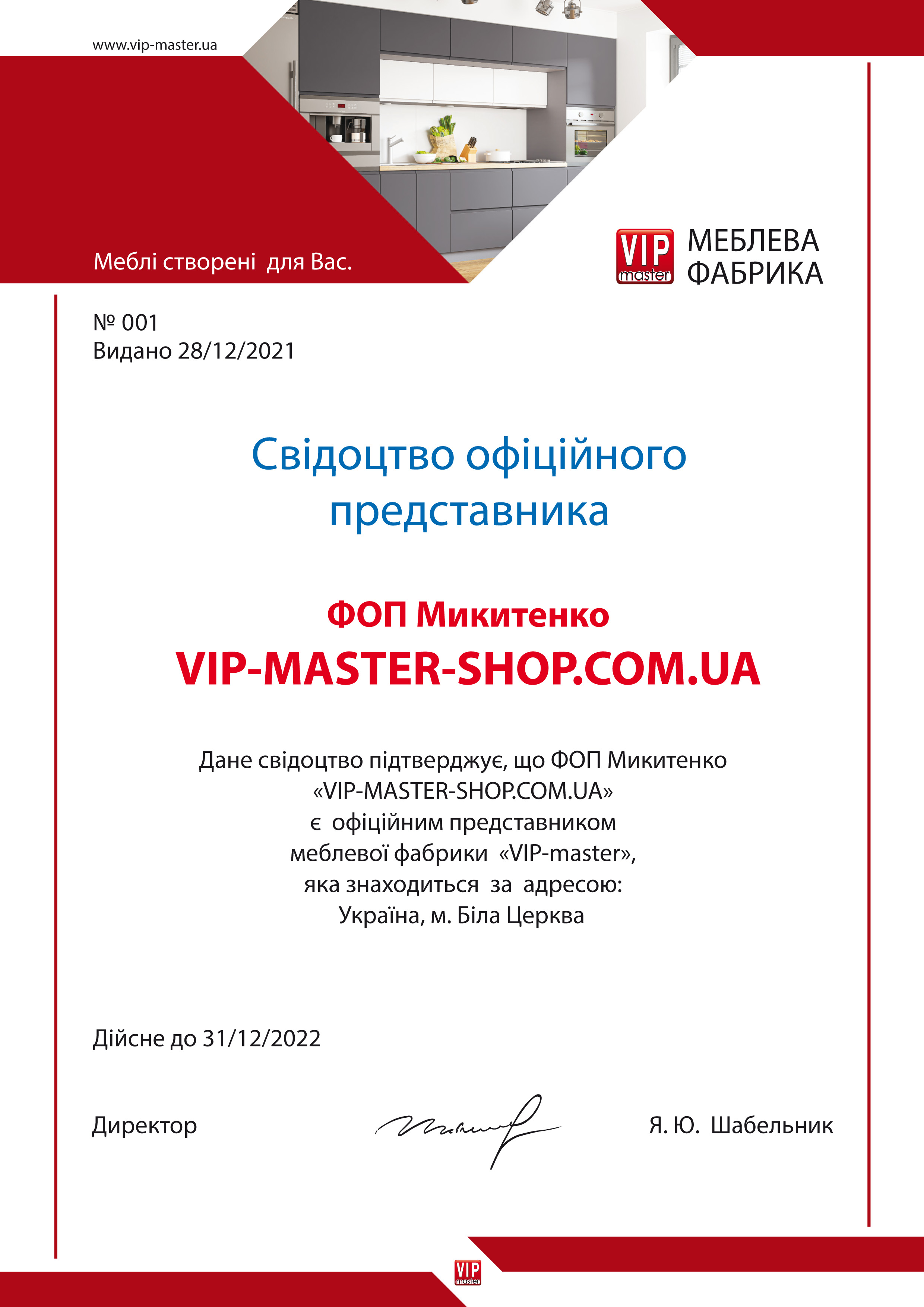 Свидетельство официального представителя Вип-Мастер-Шоп